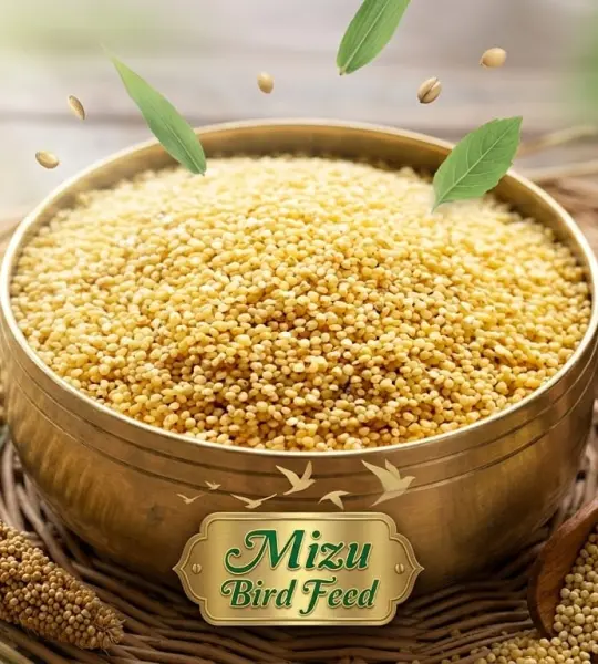 500 grms- Premium Quality Natural Kaun Rice (Foxtail Millet)