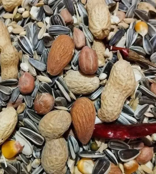 1 kg-Premium Parrot Seed Mix