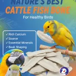 500 grms-Natural Marine Cuttlebone – Premium Calcium Supplement for Birds
