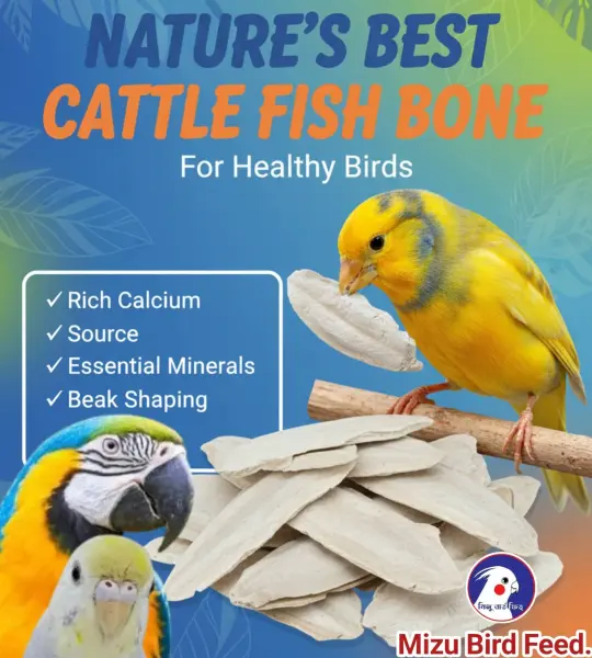 250 grms-Natural Marine Cuttlebone – Premium Calcium Supplement for Birds