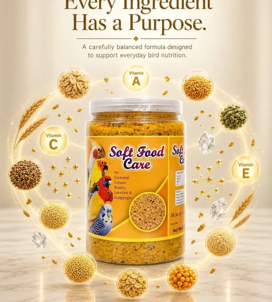 500 grms-Soft Food Care – Premium Soft Food Supplement for Birds