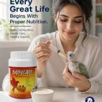 BABYCARE Handfeeding Formula: বাচ্চা পাখির যত্নে পুষ্টিকর হ্যান্ড-ফিডিং ফর্মুলা