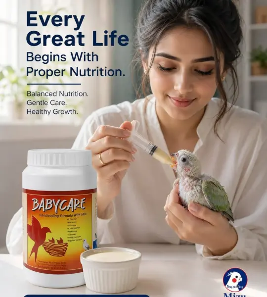 1 kg-Baby Care Hand Feeding Formulla(For All Avian Baby Birds)