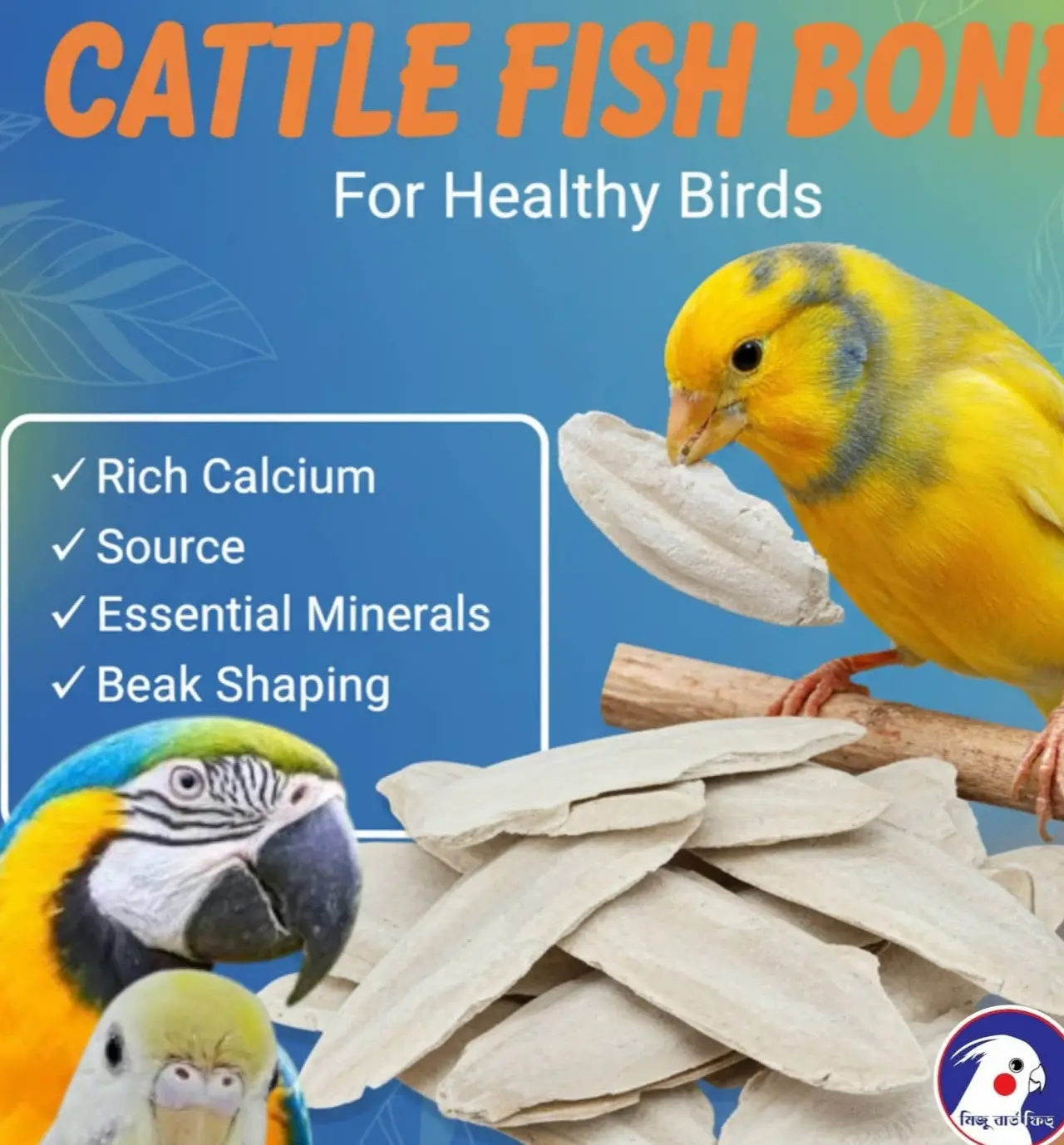 Catle Fishbone