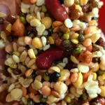 1 kg- Premium Raw Softfood for Birds